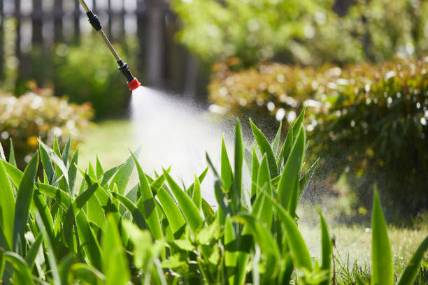 Tamper-Resistant Bait Stations for Rodents in Centerport