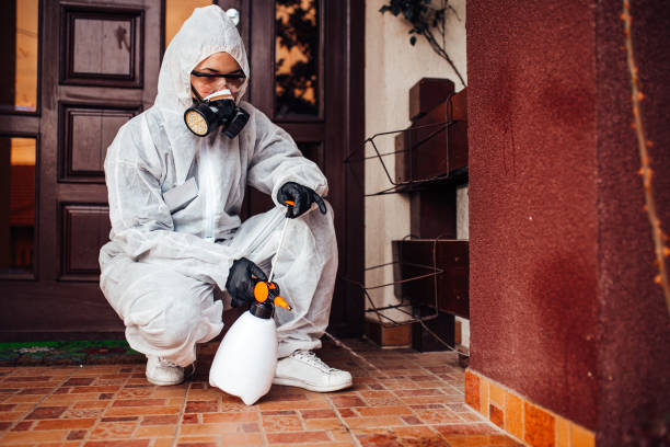 Attic and Crawl Space Rodent Treatment in Centerport