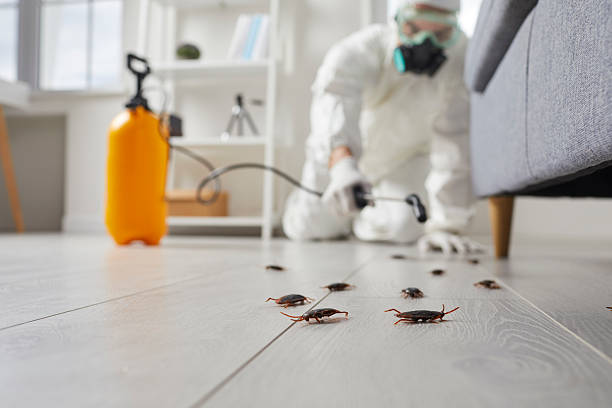 Commercial Rodent Management in Centerport